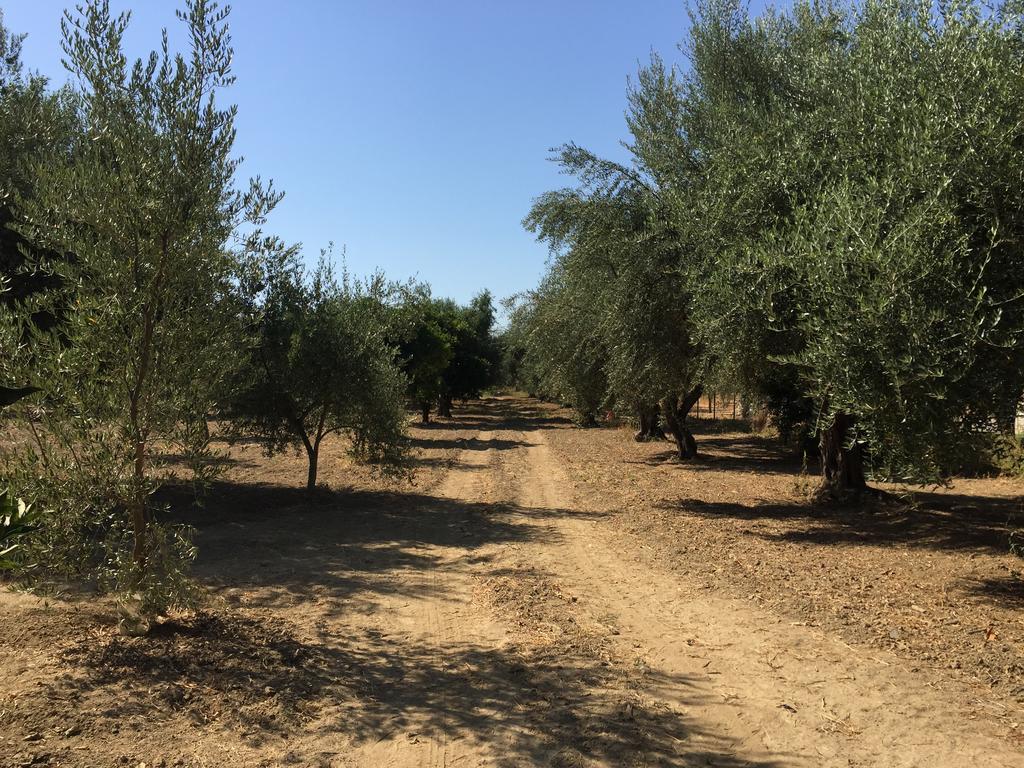 Holiday home Elaianthos